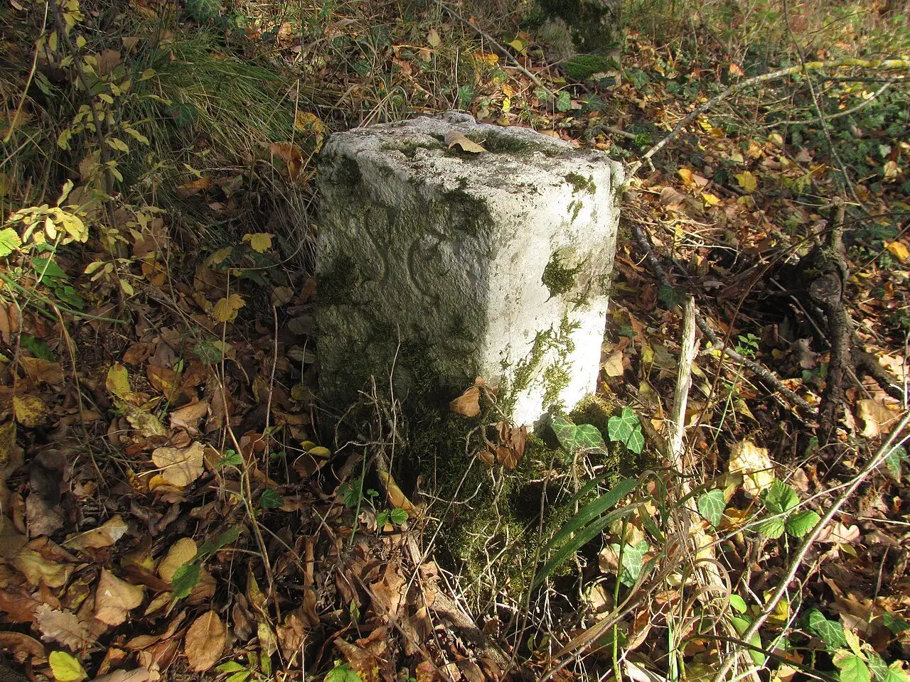 Verwitterter Wildbannstein aus Sandstein im Herbstlaub